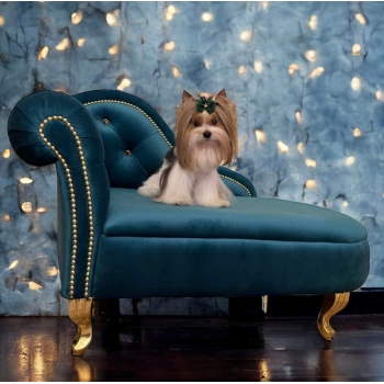 Szezlong mała sofa 100 kolorów